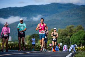 BIB: 
                            <button type="button" onclick="openModal(26542031)" class="btn btn-primary btn-sm float-right btn-popup" data-toggle="modal" data-target=".modal-high-quality">
                        <i class="fas fa-shopping-cart"></i> Add to Cart
                    </button>
                                            <button type="button" onclick="isThisMe(26542031, true)" class="btn btn-success btn-sm float-right btn-popup btn-isme hidden" data-toggle="tooltip" data-placement="bottom" title="นี่คือรูปของคุณใช่ไหม คลิกที่นี่เพื่อเอาเข้าอัลบั้ม">
                        <i class="fas fa-plus"></i> Add to album
                    </button>
                    <button type="button" onclick="isThisMe(26542031, false)" class="btn btn-warning btn-sm float-right btn-popup btn-isnotme hidden">
                        <i class="fas fa-ban"></i> Remove from album
                    </button>